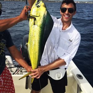 Meet your Posher, Edward